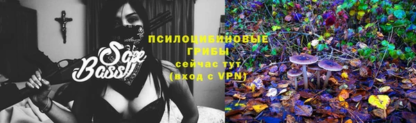 mdpv Белокуриха