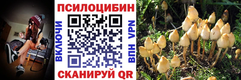 Псилоцибиновые грибы GOLDEN TEACHER Новотитаровская